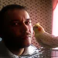 Я Сергей, 43, знакомлюсь для постоянных отношений в Кировске