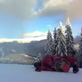 Алла из Сковородина, ищу на сайте постоянные отношения