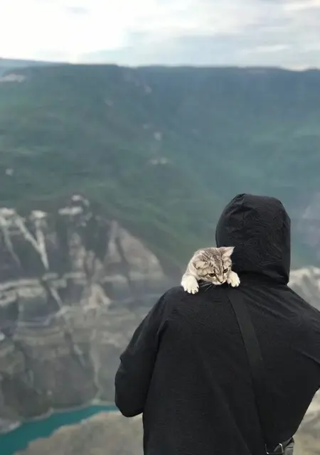 Макс из Александрова, ищу на сайте знакомства на одну ночь