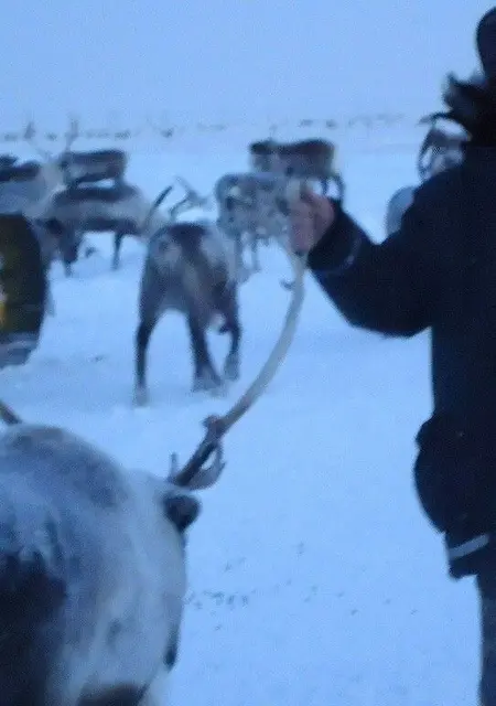 Я Шейх, 52, из Ухты, ищу знакомства без обязательств