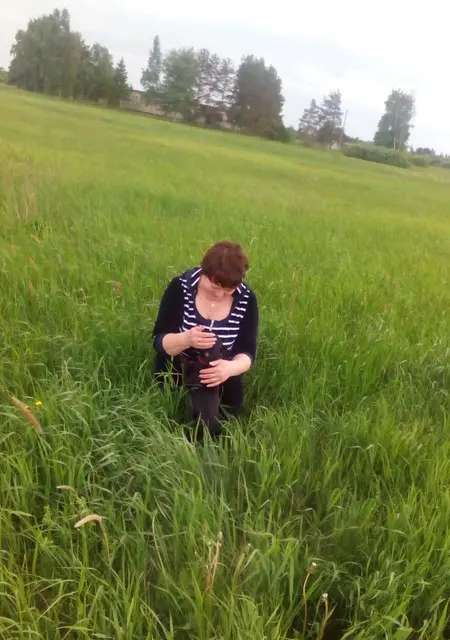 Я Vera, 54, из Великого Новгорода, ищу знакомство для дружбы