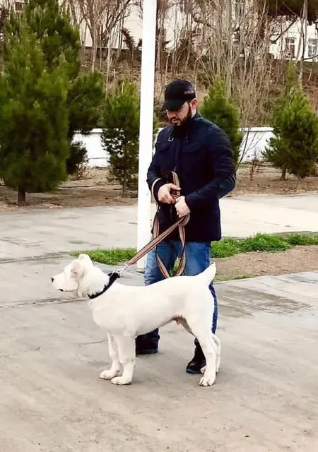 Арс из Новороссийска, ищу на сайте знакомства на одну ночь