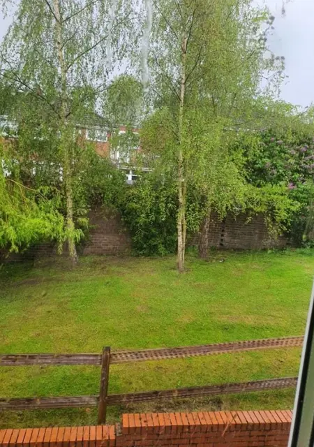 Ade из Лондона