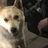 Олег из Челябинска, мне 24, познакомлюсь для приятного времяпровождения